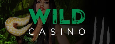 Wild Casino