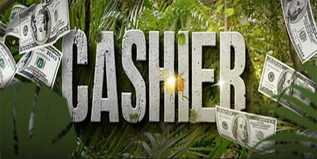 WildCasino cashier