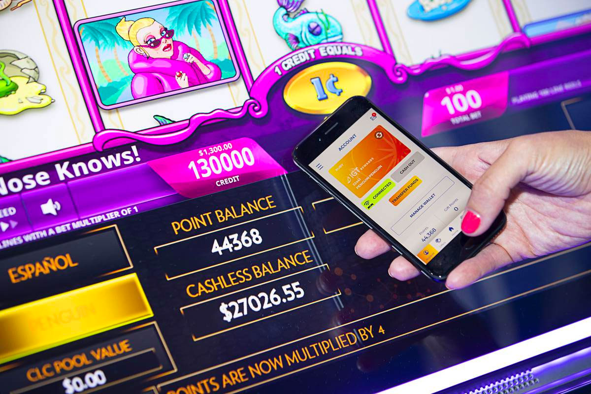 Cashless gaming in NSW