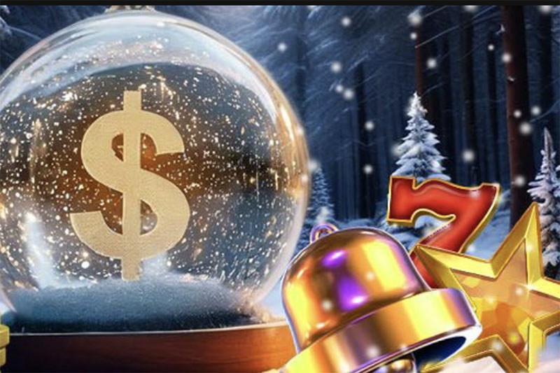 Wild Casino December bonus offer 2024