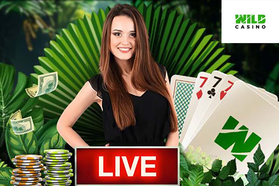 Wild Casino Promo