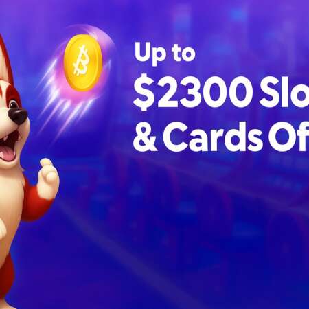 RedDog Casino Bitcoin & Crypto bonus – Claim 230% up to $2,300